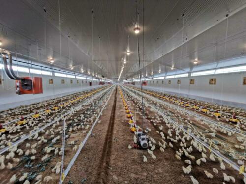 Farma pre chov hydiny